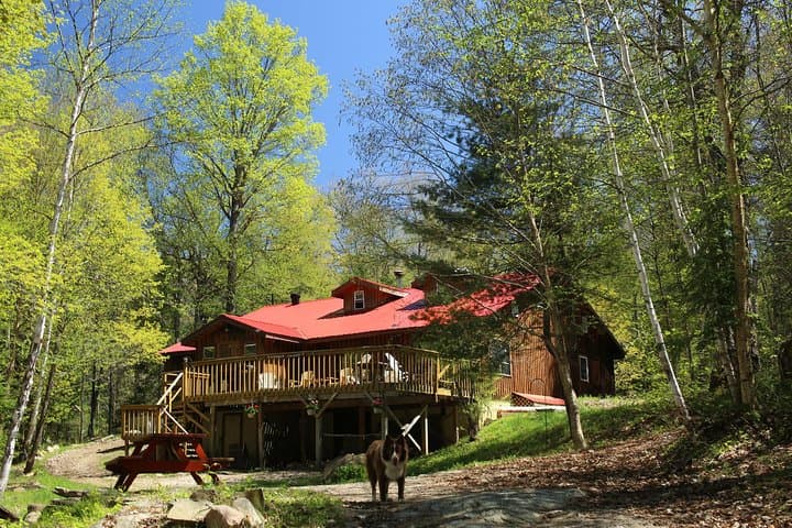 Algonquin 6-Day Explorer: Canoe Trip, Eco-Lodge & Wilderness Camping