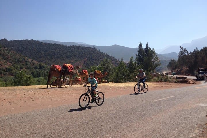 Beginner-Friendly Downhill Bike Tour of the Atlas Mountains from Marrakech