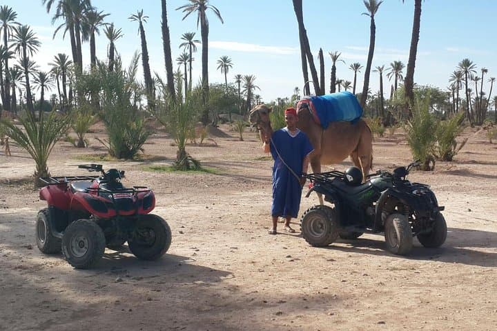 Marrakech Palmeraie Quad Biking & Camel Ride — 2-Hour Oasis Adventure