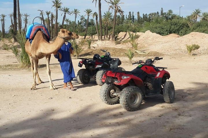 Marrakech Palmeraie Quad Biking & Camel Ride — 2-Hour Oasis Adventure photo 3
