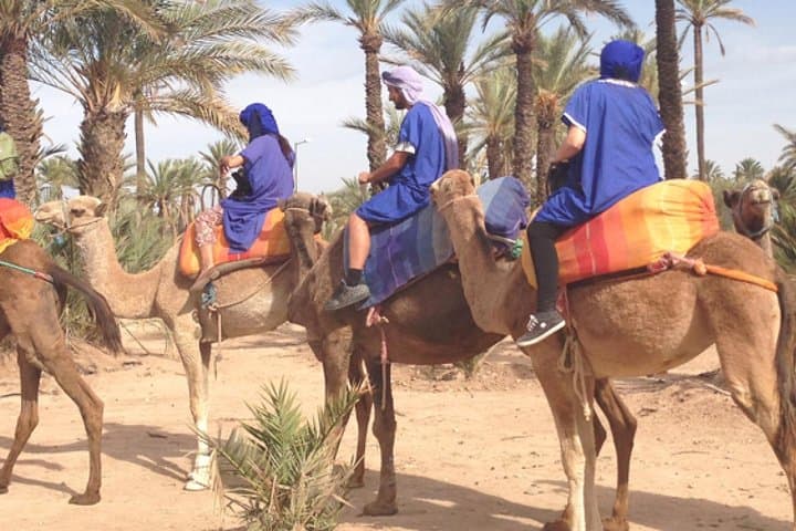 Palm Grove Camel Ride Near Marrakech: Half-Day Camel Trek & Berber Tea photo 5
