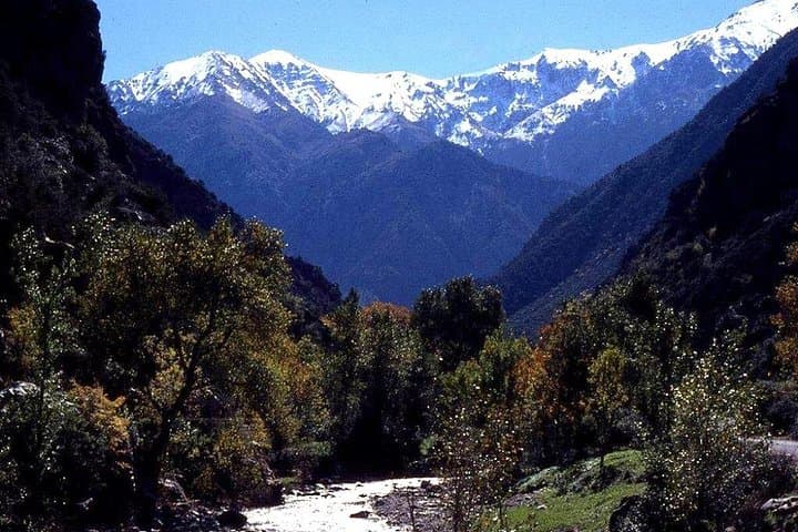 Imlil & Kasbah du Toubkal Day Tour from Marrakech — Atlas Mountains Hike and Mule Trek photo 2