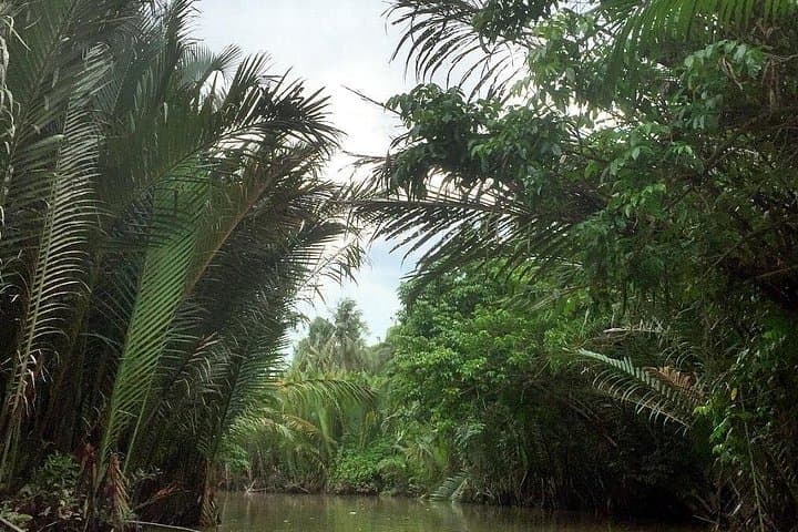 Ben Tre Mekong Delta Day Tour: Sampans, Coconut Workshops & Village Walks