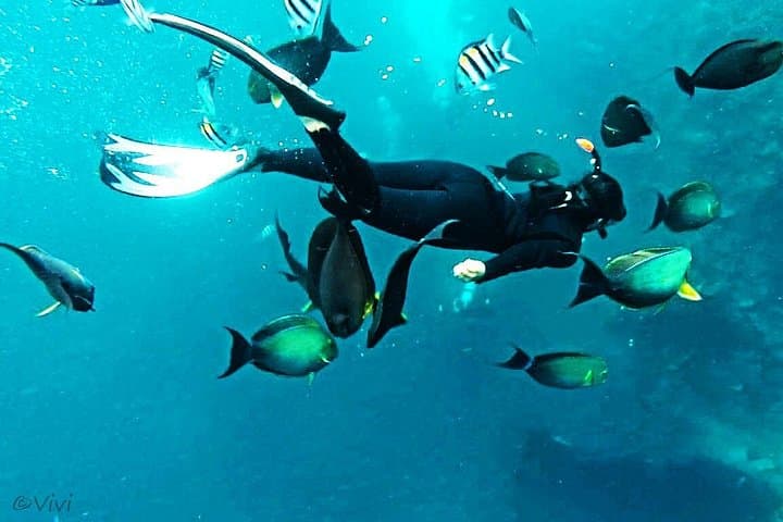 Snorkel the USAT Liberty Wreck at Tulamben: Guided Day Trip from Bali photo 1