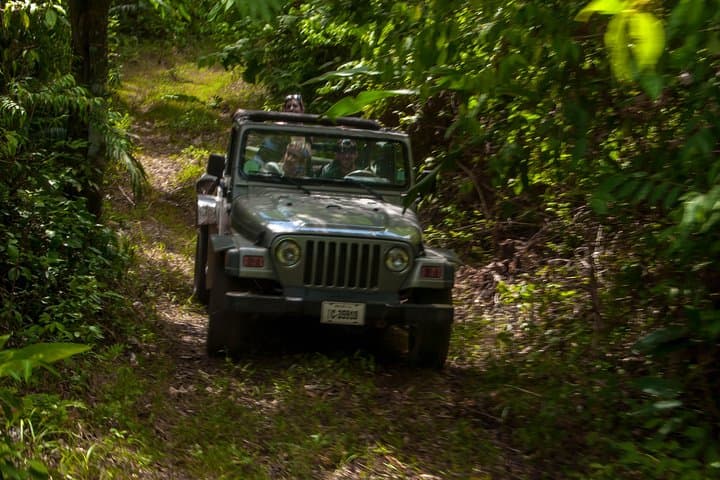 Jungle Jeep Adventure from Belize City: Off-Road Rainforest Tour