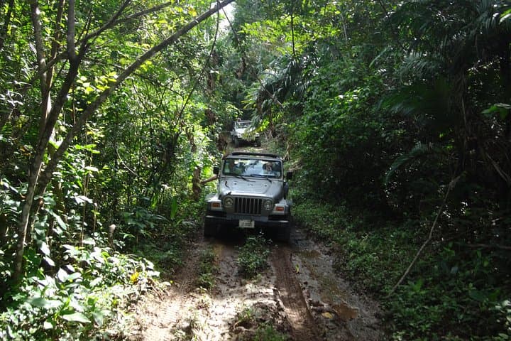 Belize Jungle Jeep Safari & Cave Tubing — Rainforest Tubing and Maya Mountain Mudding photo 2