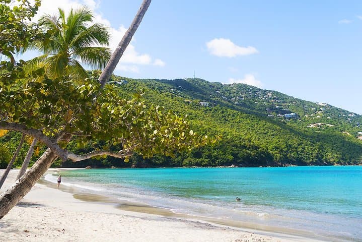 Magens Bay Beach Day Guide: Swim, Snorkel & Arboretum on St. Thomas