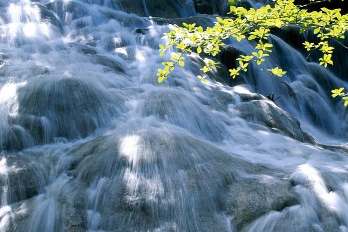 Dunn's River Falls Excursion from Montego Bay — Climb, Swim, and Explore Ocho Rios photo 2