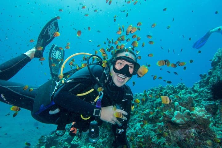 Maui Introductory Scuba Lesson from Lahaina: Shore Dive to Coral Reefs & Turtles