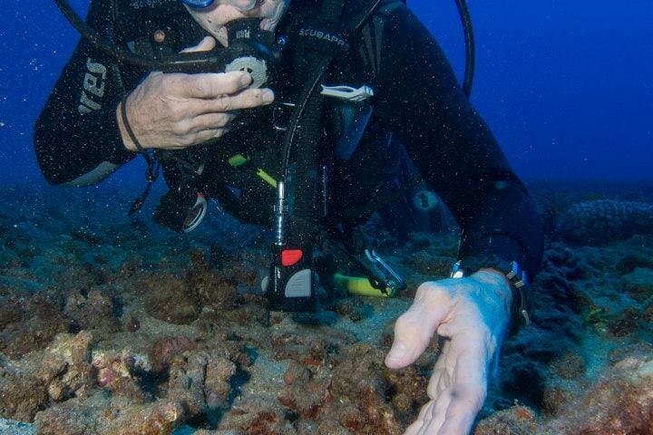 Maui Introductory Scuba Lesson from Lahaina: Shore Dive to Coral Reefs & Turtles photo 3