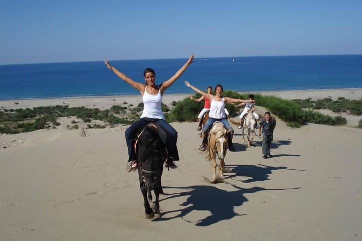 Pine-Forest Horseback Ride in Bodrum: 2-Hour Guided Trail with Hotel Transfer photo 3