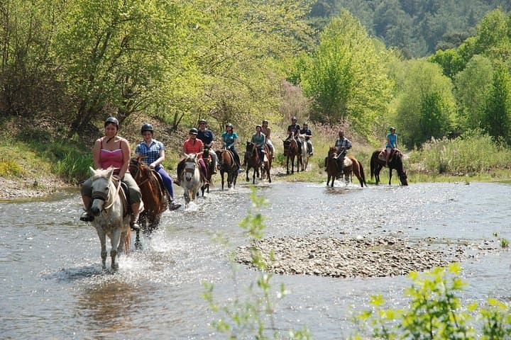 Horseback Riding in Marmaris National Park: 2-Hour Guided Ride with Transfer photo 2