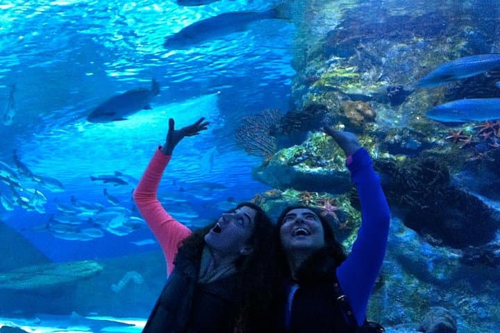 Antalya Aquarium Visitor Guide — Walk the 131-Meter Tunnel Aquarium photo 2