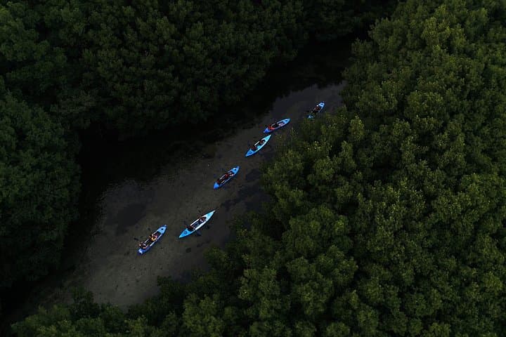 Night Kayak to Laguna Grande: Bioluminescent Bay Adventure from San Juan photo 5