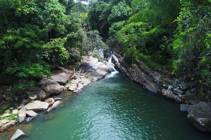 El Yunque Off the Beaten Path: River Hikes, Pools & Natural Slides from San Juan photo 6
