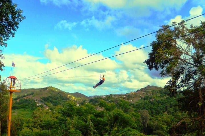 El Yunque Canopy Zipline Adventure: Zip Through Puerto Rico’s Rainforest Canopy photo 3