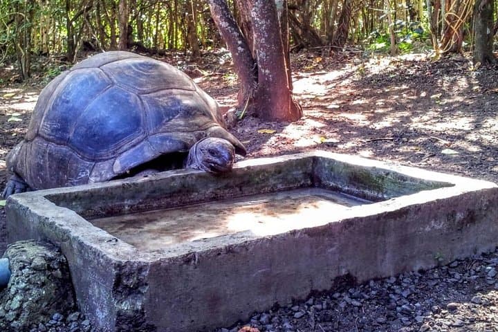 Mauritius Eco Day Tour: Ile aux Aigrettes, Blue Bay & La Vanille Reserve photo 1