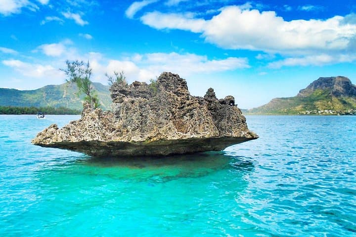Swim with Wild Dolphins and Benitiers Island — Mauritius Dolphin and Snorkel Day Trip photo 2