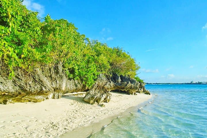 Ile aux Aigrettes Day Tour — Blue Bay, La Vanille & Gris Gris