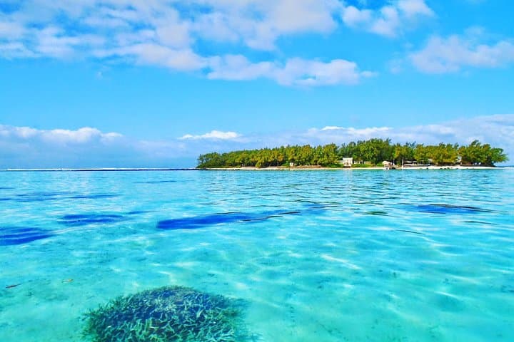 Ile aux Aigrettes Day Tour — Blue Bay, La Vanille & Gris Gris photo 2