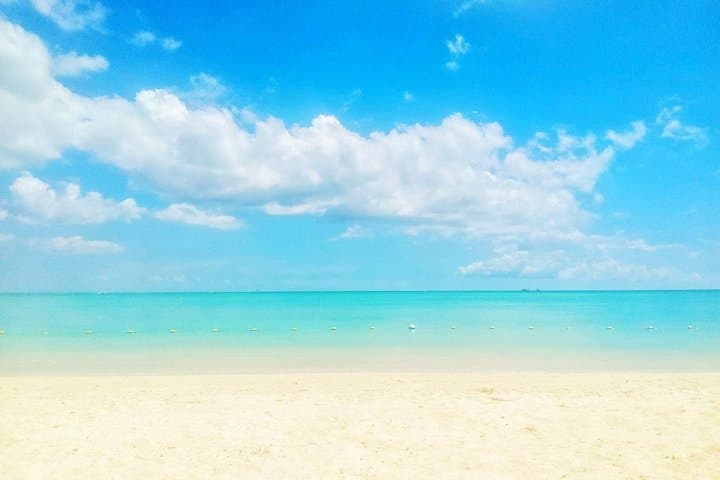Swim with Wild Dolphins and Beach-Hop Trou aux Biches to Pereybere photo 1