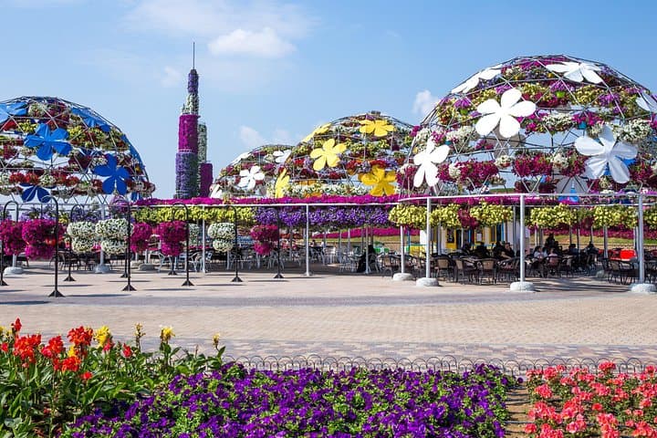 Dubai Miracle Garden: Touring 45 Million Flowers in Al Barsha photo 2