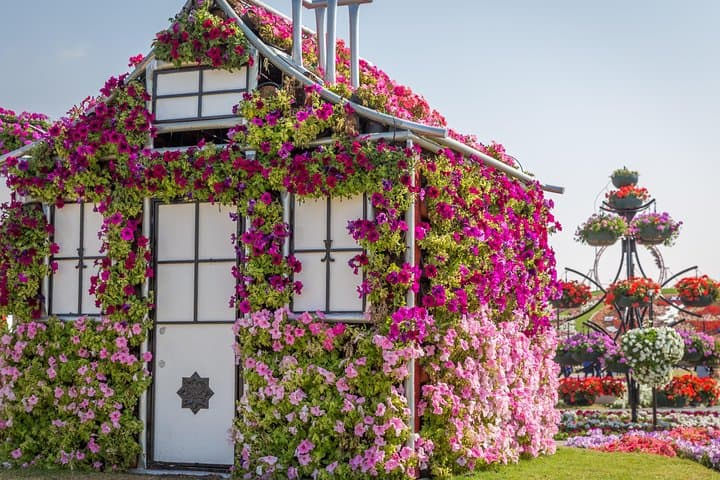 Dubai Miracle Garden: Touring 45 Million Flowers in Al Barsha photo 3