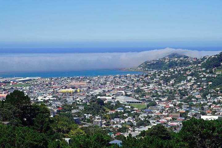 Hobart Mount Wellington Bike Tour: 3-Hour Small-Group Shore Excursion