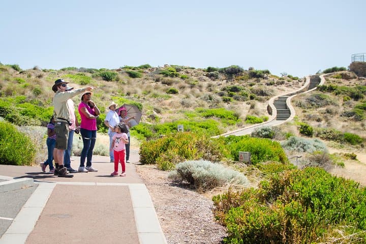 Margaret River Coastal & Wildlife Eco Trip — Busselton/Dunsborough Half-Day Tour photo 4