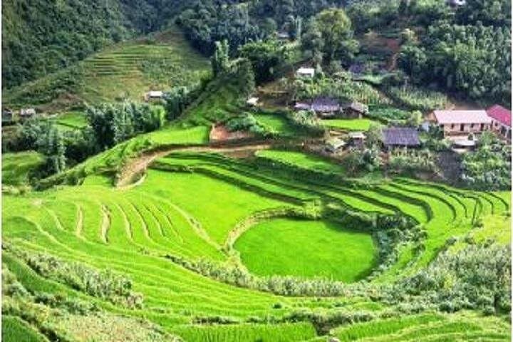 Full-Day Biking Adventure in Sapa: Rice Terraces & Hill-Tribe Villages photo 1