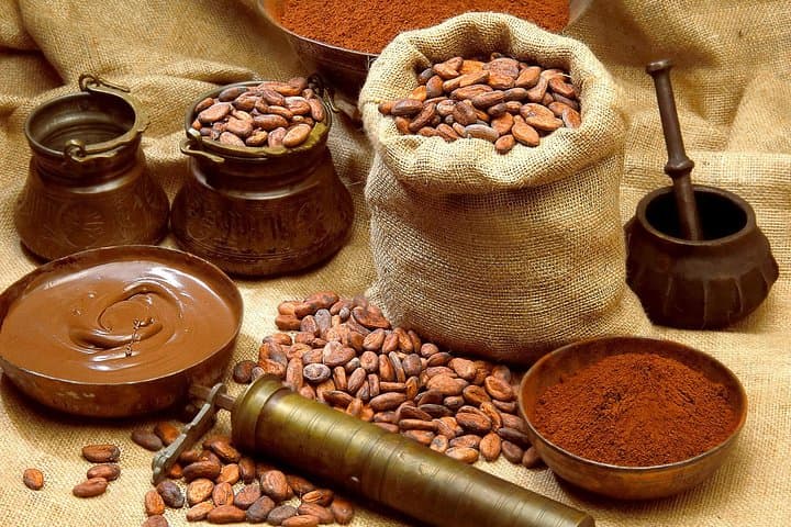 Private Maya Chocolate Ceremony in Cancun — Cacao Ritual at a Maya Ranch