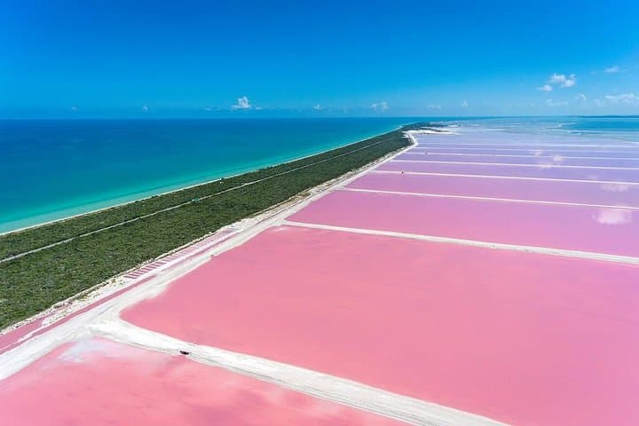 Valladolid & Las Coloradas Private Tour: Pink Lakes, Flamingos & Tequila Tasting photo 2