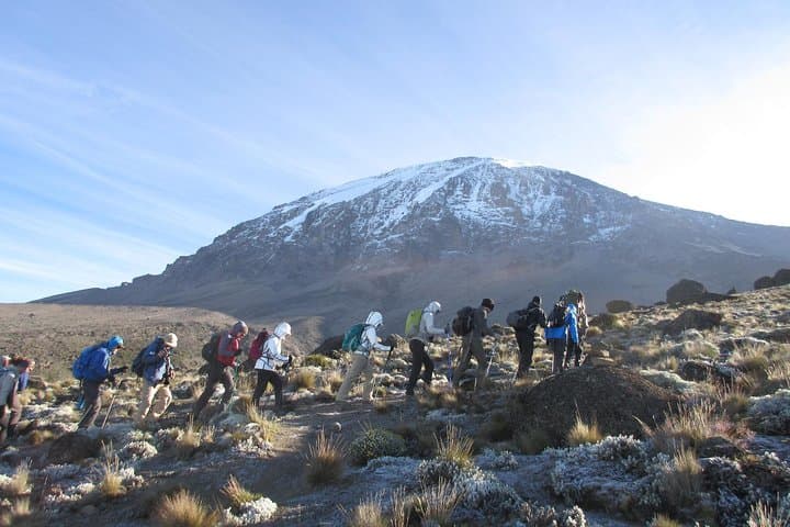 Climb Kilimanjaro via the Machame Route: 8-Day Trek to Uhuru Peak