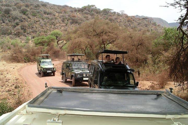 Ngorongoro Crater & Lake Manyara: 2‑Day Wildlife Safari from Arusha