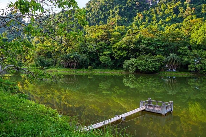 Private Cuc Phuong National Park Day Trip — Trek Ancient Trees & See Endangered Primates