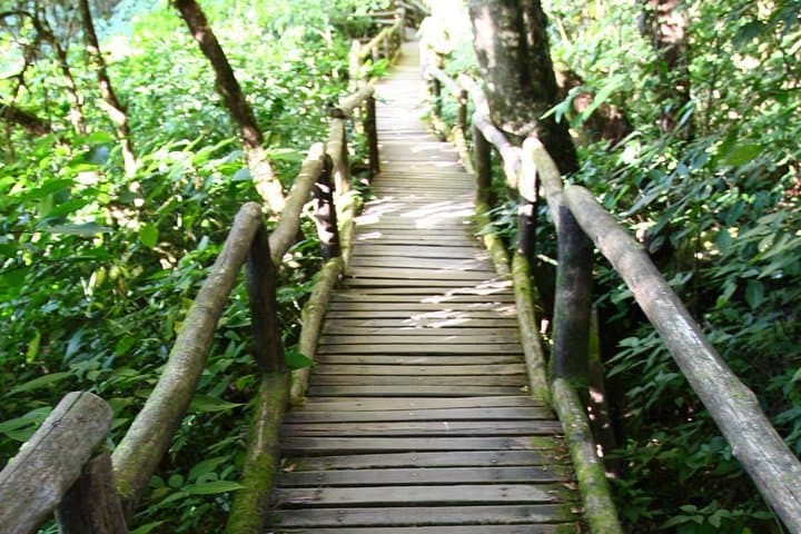 Doi Inthanon Day Tour: Summit Views, Twin Pagodas & Waterfalls from Chiang Mai photo 1