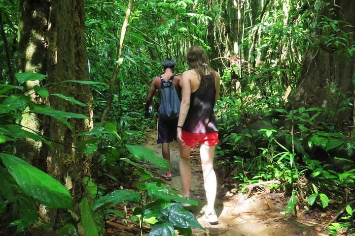 2-Day Khao Sok Jungle Safari from Krabi — Trek, Canoe & Jungle Bungalow
