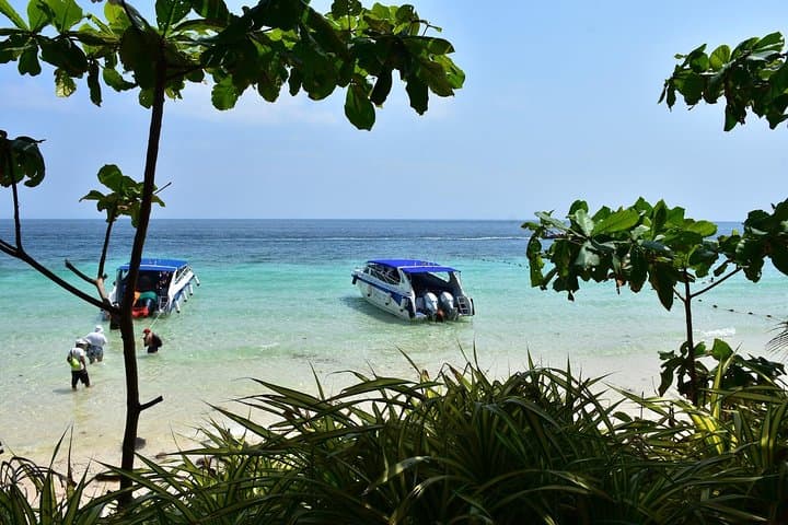 Private Phi Phi Island Speed Boat Tour from Krabi — Maya Bay, Phi Leh & Bamboo Island