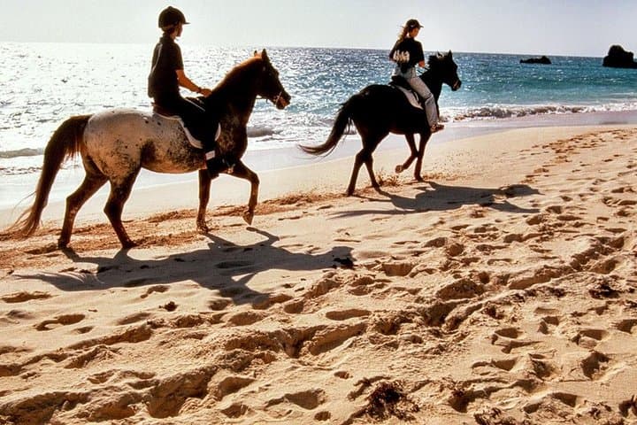 Horseback on Ao Nam Mao Beach: Krabi Coastal Horse Riding photo 1