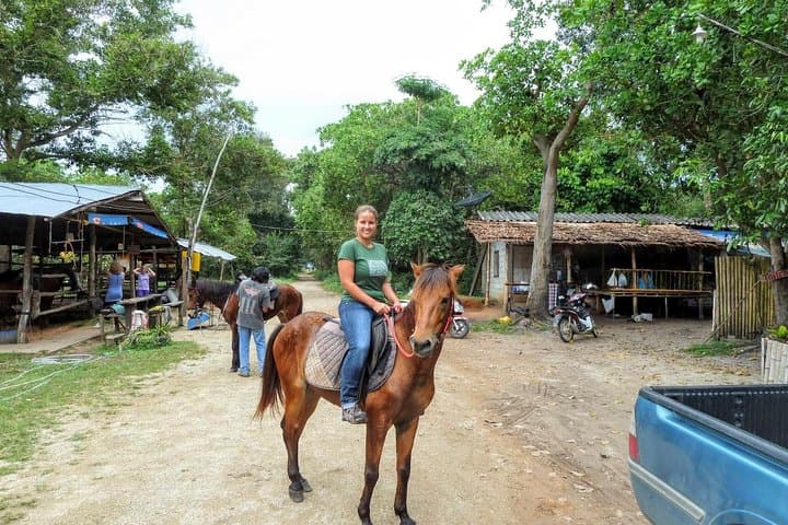 Horseback on Ao Nam Mao Beach: Krabi Coastal Horse Riding photo 3