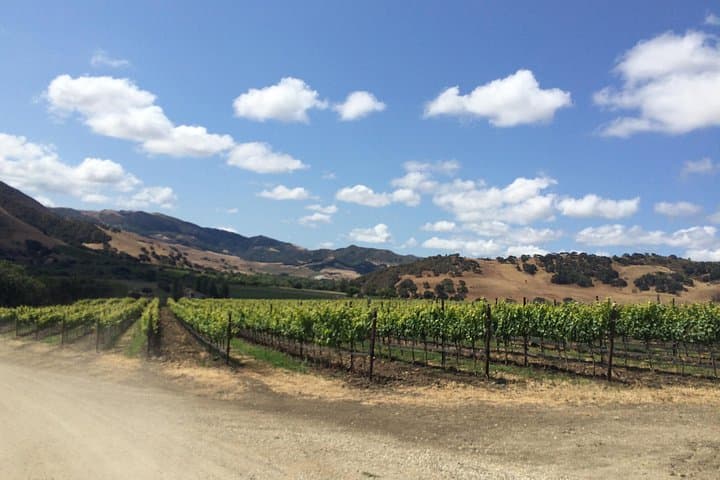 Santa Barbara Wine Lovers Tour: Full-Day Santa Ynez Valley Tasting Experience