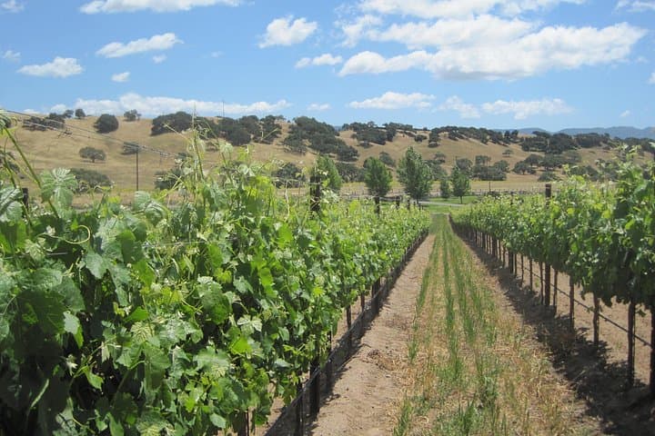 Santa Barbara Wine Lovers Tour: Full-Day Santa Ynez Valley Tasting Experience photo 2