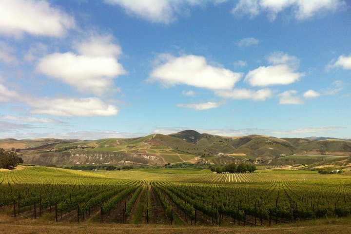 Private Wine Tour in Santa Ynez Valley — Half-Day Luxury Tasting Experience