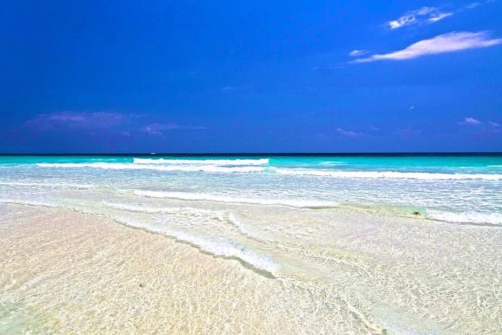 Private Cozumel Dune Buggy & Snorkel Tour — Punta Sur, Sky Reef & Laguna Colombia photo 3