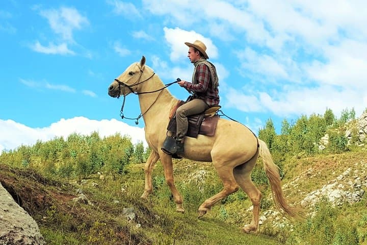 Half-Day Horseback Ride Through Sacsayhuamán: Peruvian Paso Experience photo 2
