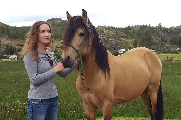 Half-Day Horseback Ride Through Sacsayhuamán: Peruvian Paso Experience