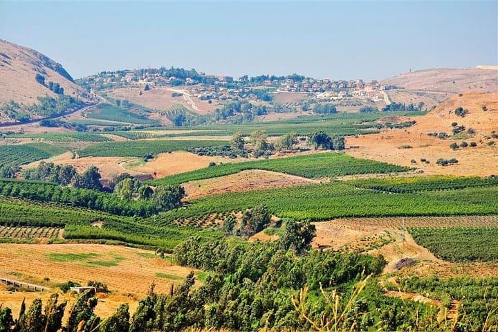 Israel Deluxe 9-Day Guided Tour from Tel Aviv — Jerusalem, Dead Sea & Galilee photo 2