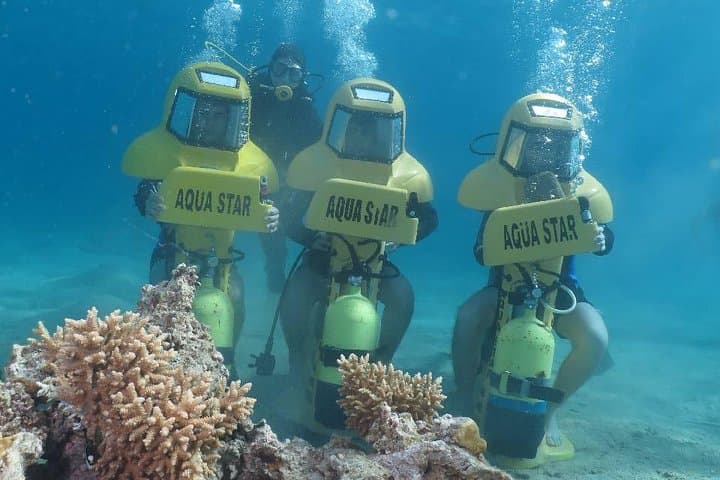 Eilat Aqua Star Intro Dive — Shallow Red Sea Coral Experience photo 4