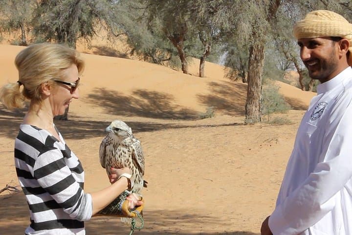 Fly a Falcon in Dubai: Falconry Safari at Dubai Desert Conservation Reserve
