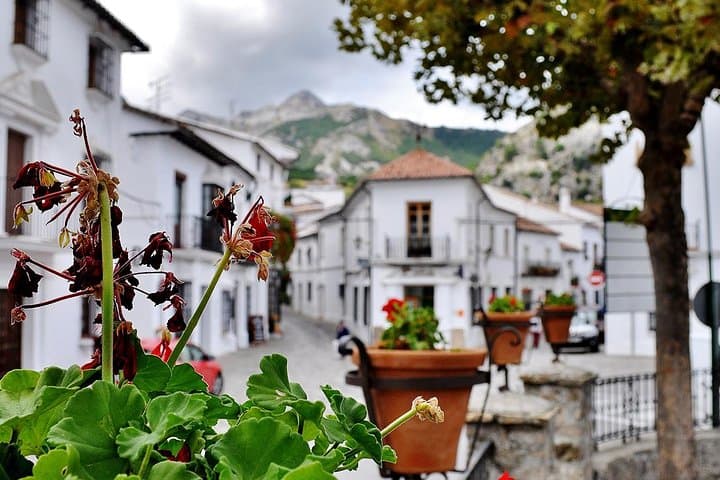 Ronda & White Villages Day Trip from Seville — Explore Andalucían High Towns and Olive Mill Tastings photo 2